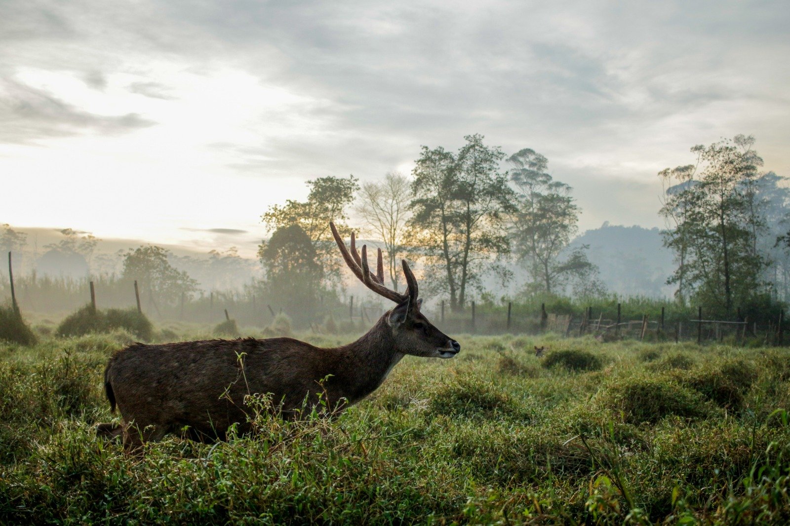 Kunjungan Wisata Alam (Tiket Masuk) Rancaupas